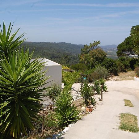 A Perfect Villa With Pool Terrace And Garden 阿尔科巴萨 外观 照片