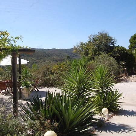 A Perfect Villa With Pool Terrace And Garden 阿尔科巴萨 外观 照片