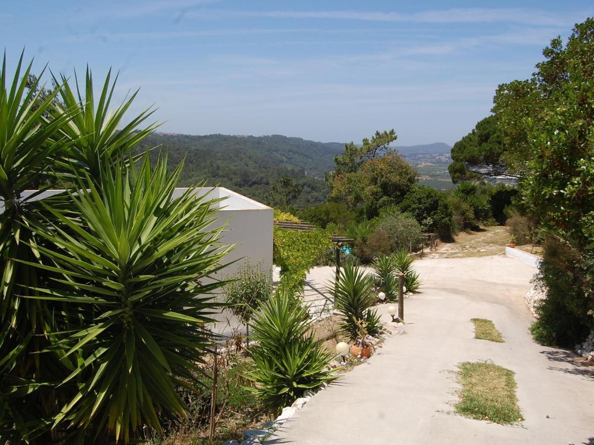 A Perfect Villa With Pool Terrace And Garden 阿尔科巴萨 外观 照片