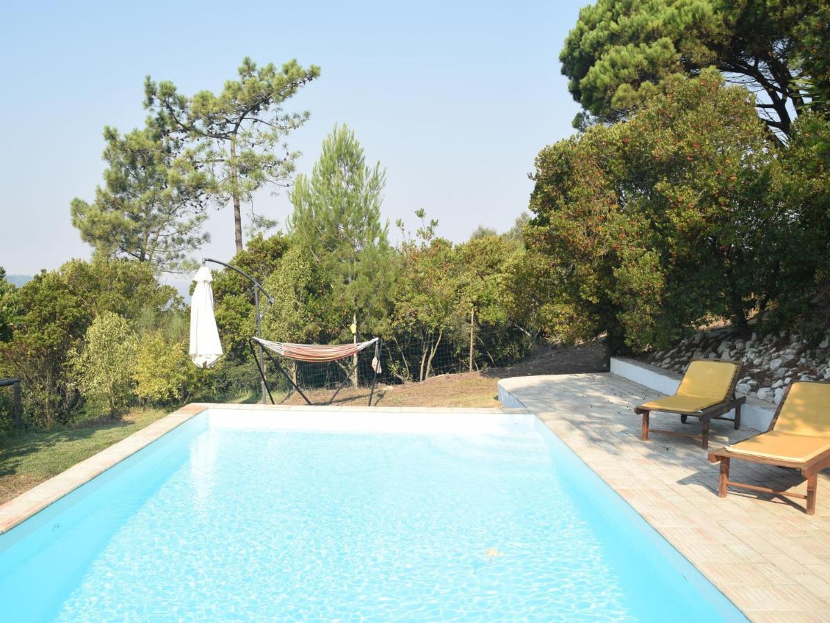 A Perfect Villa With Pool Terrace And Garden 阿尔科巴萨 外观 照片