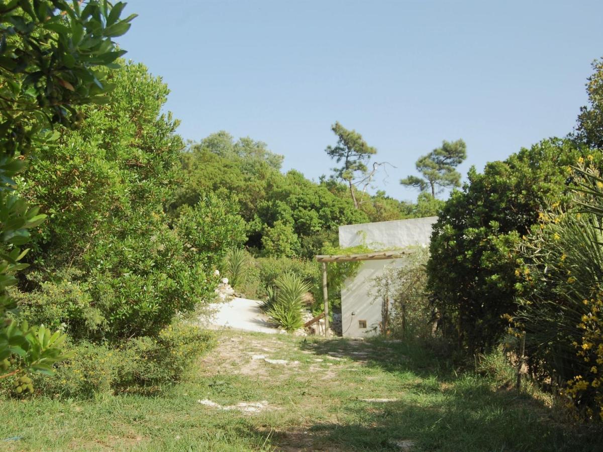 A Perfect Villa With Pool Terrace And Garden 阿尔科巴萨 外观 照片